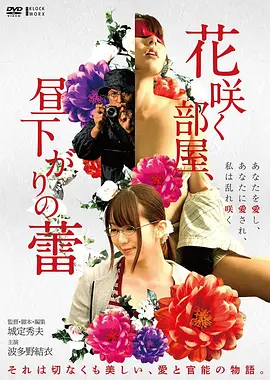 《霸王别姬》经典海报